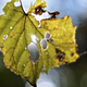Illustration for article titled 48 Stunning Photos of Fall